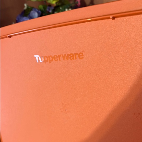 Party  jello  mold 10 1/2 tazasOrange Cake Carrier with Lid - Picture 5 of 5